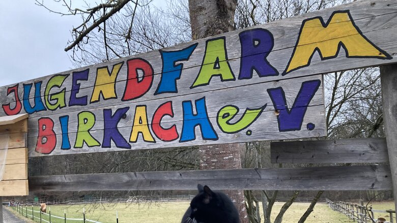 Große Ansicht vom Video