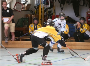 Neue Inline-Skaterhockey-Bande für die TuS Empelde Maddogs