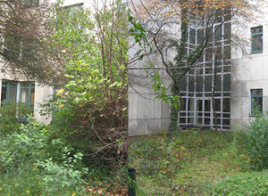 Vorhaben „Innenhof Krankenhaus Dinkelsbühl“