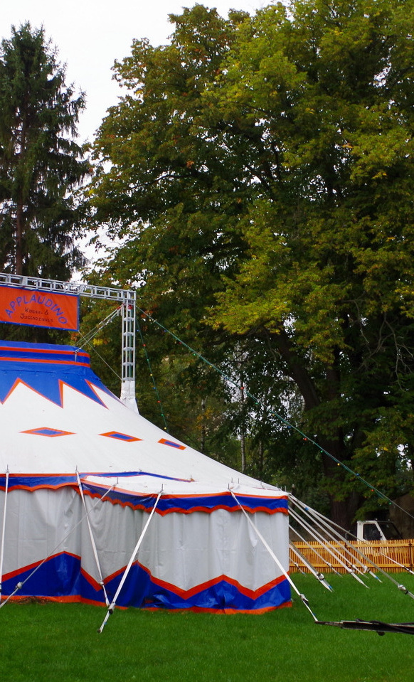 Manege frei für Applaudino
