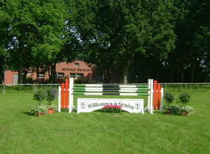 Erster Reitplatztrecker und -planer