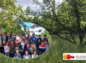 Streuobstwiesenprojekt Korb