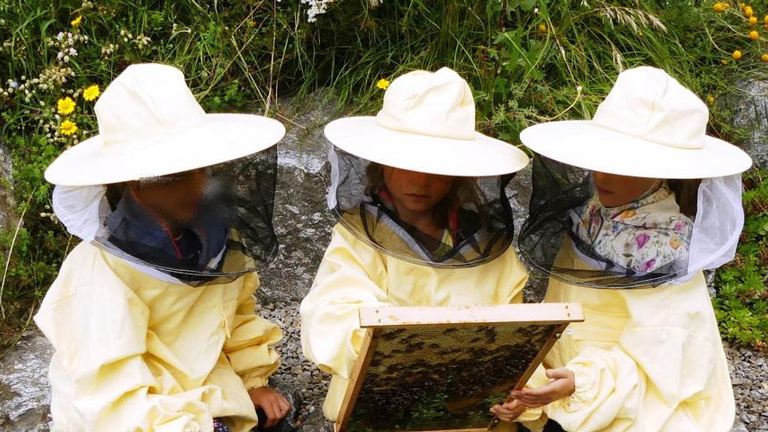Bienen am Schulbauernhof