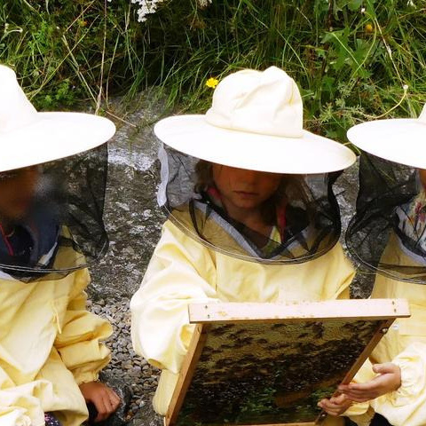 Bienen am Schulbauernhof