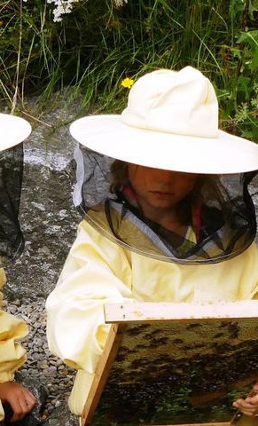 Bienen am Schulbauernhof