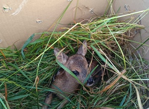 Gemeinsam Leben retten!