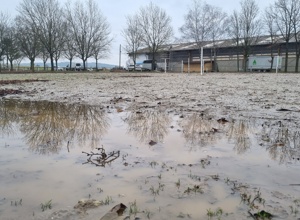 Springplatz ZRFV Einrich Katzenelnbogen e.V.