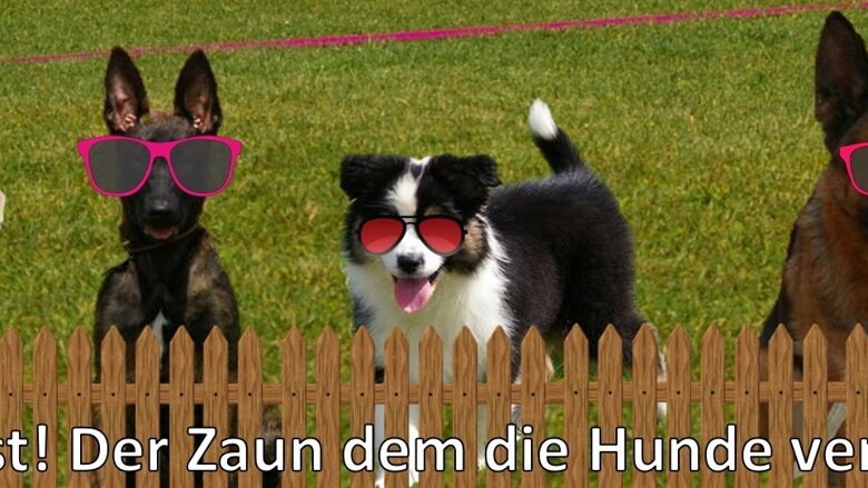 Große Ansicht vom Video