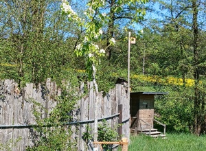 Natur- und Waldspielgelände Forsthart - Sanierung