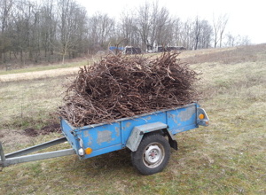 Neuer Transportanhänger für unser Tierheim