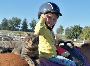 Ein Therapiepferd für die Reittherapie