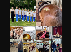 Movie - das galoppierende Holzpferd