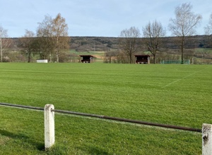 Neuer Sportplatzmäher
