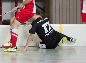 Neue Floorballbande für Mainz
