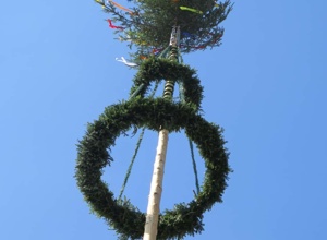 Sicherer Stand für den Vogter Mai- und Narrenbaum