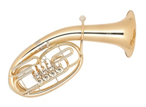 Tenorhorn & Ausbildung