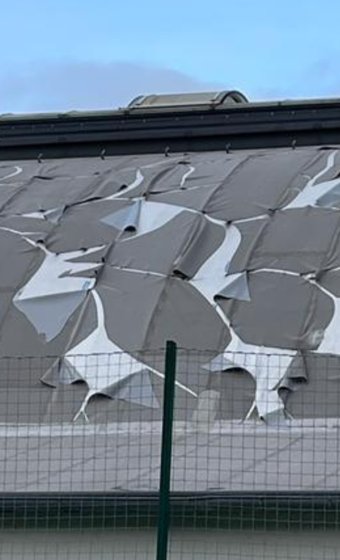Rettung der Turnhalle am Wirt in Diez