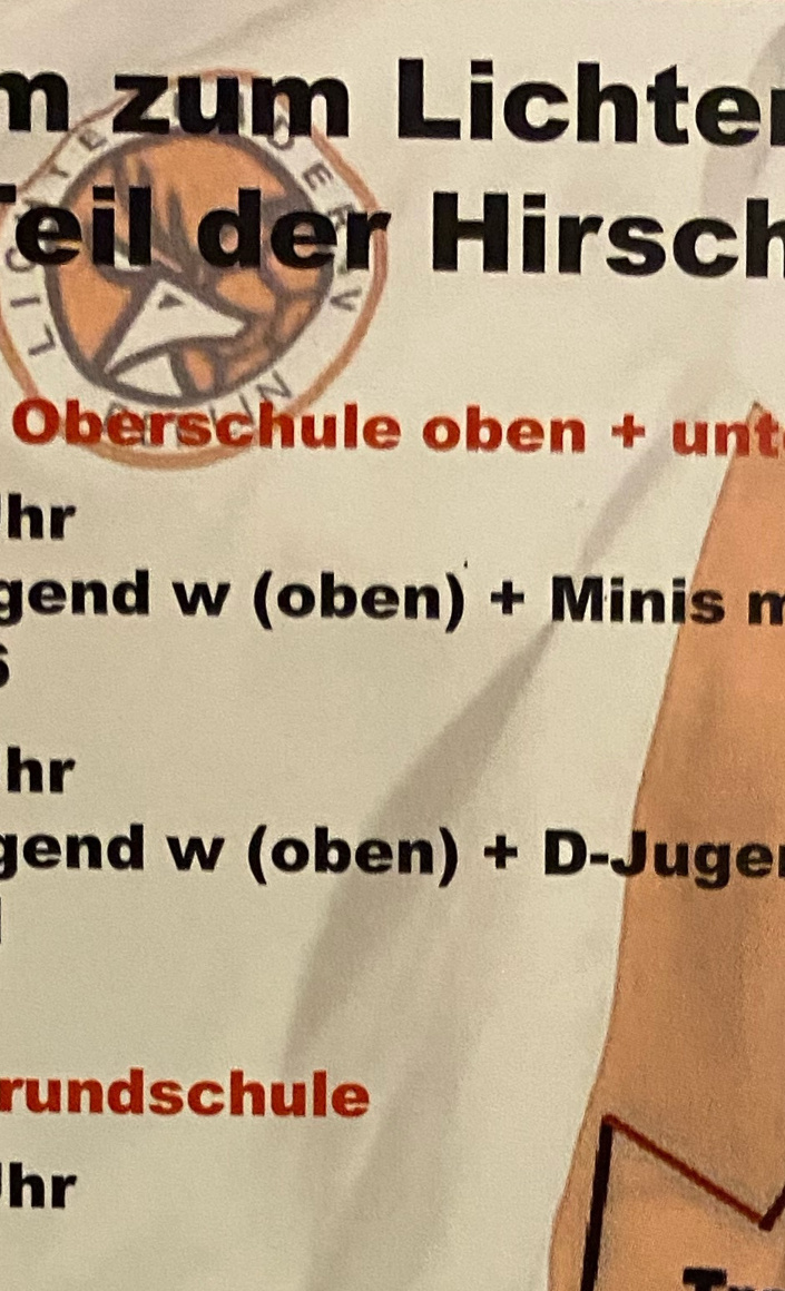 Zuschuss zum Mitgliedsbeitrag für Handballerinnen und Handballer