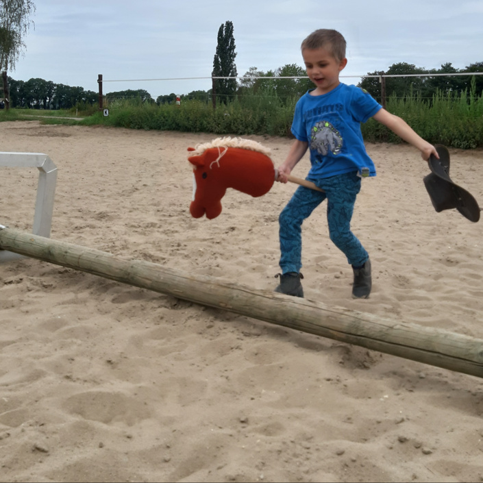 Reitplatzbeleuchtung