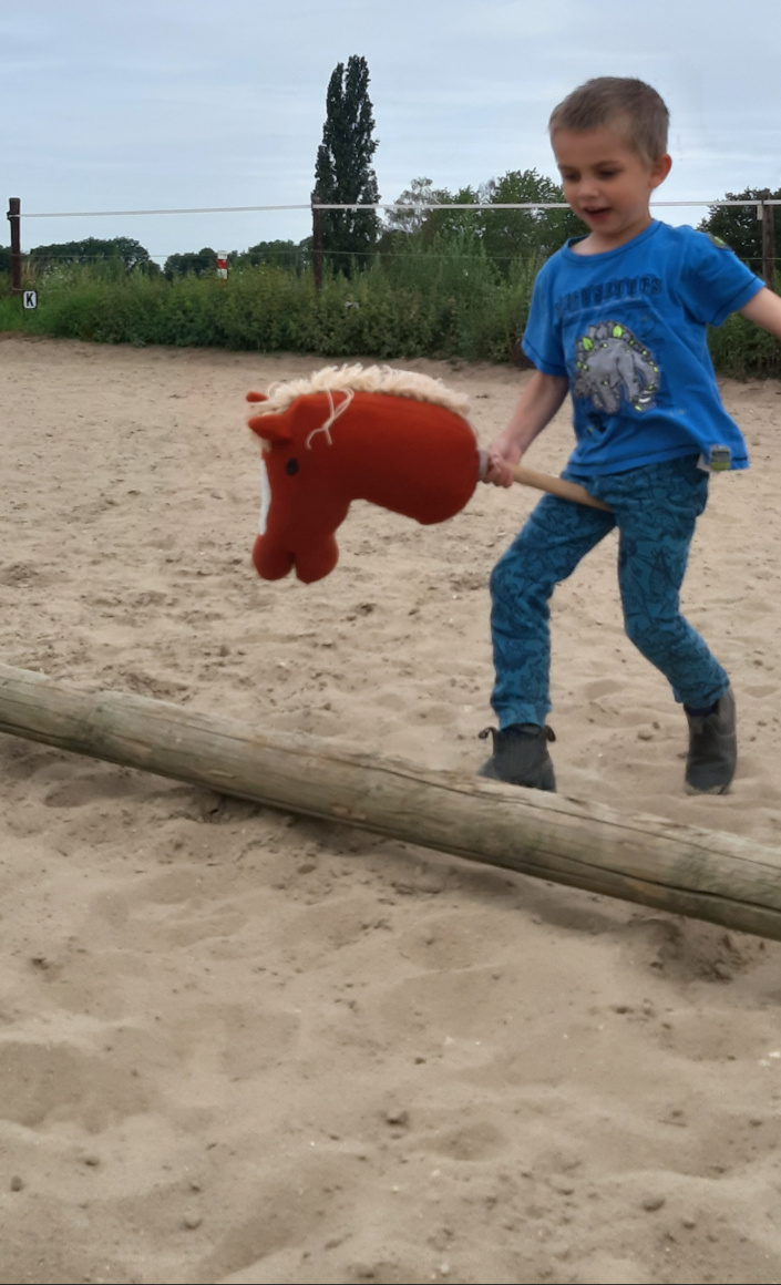 Reitplatzbeleuchtung