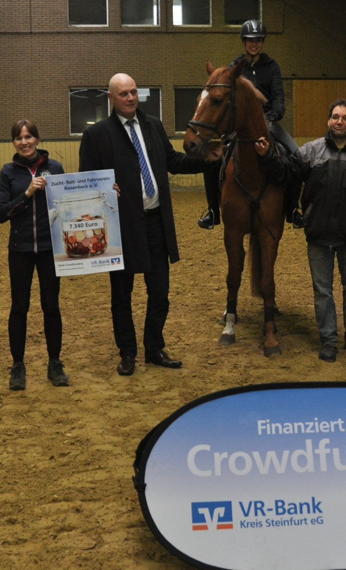 Neues Schulpferd Invictus