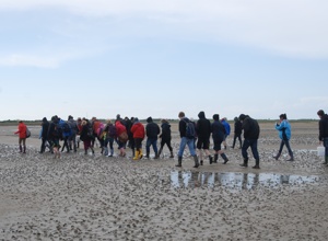 Ökosystem Wattenmeer- Biologie Exkursion des JAG