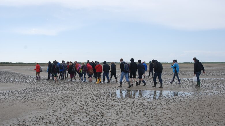 Große Ansicht vom Video