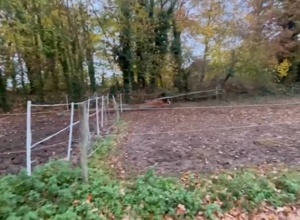 Sanierung der Winterpaddocks für Schul-, Freizeit- und Turnierpferde