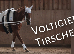 Video - Unser neues Voltigierpferd