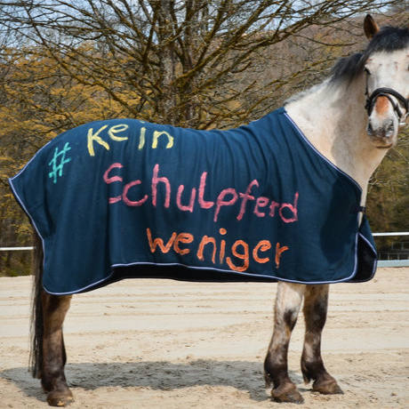 #keinSchulpferdweniger
