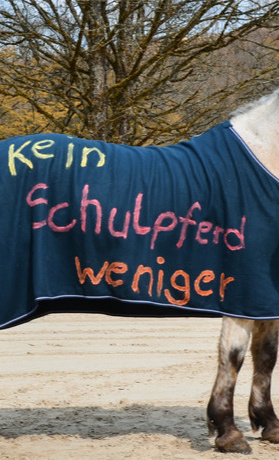 #keinSchulpferdweniger