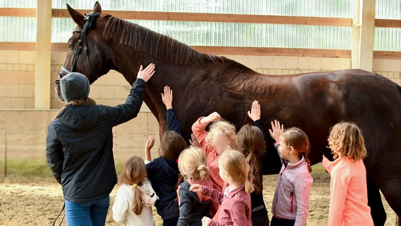 Große Ansicht vom Video