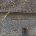 Reit- und Fahrverein Coppengrave e.V.