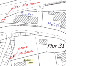Maibaum und Vogelstange für Oberveischede