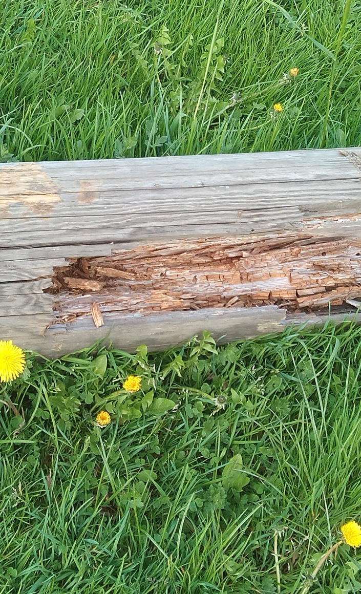 Flutlichtanlage Rasenplatz Linde
