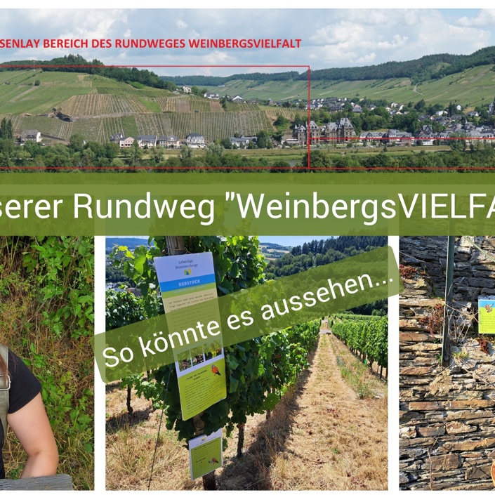 Lieserer Rundweg "WeinbergsVIELFALT"