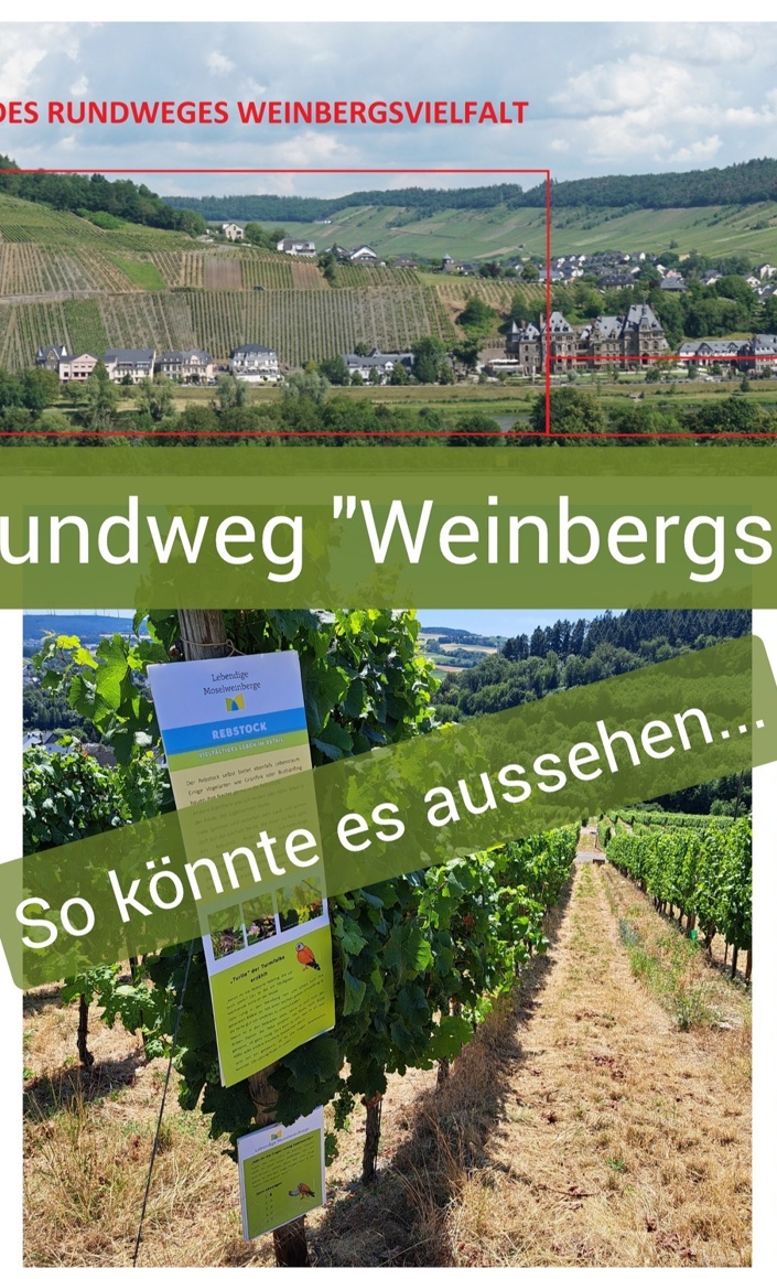 Lieserer Rundweg "WeinbergsVIELFALT"