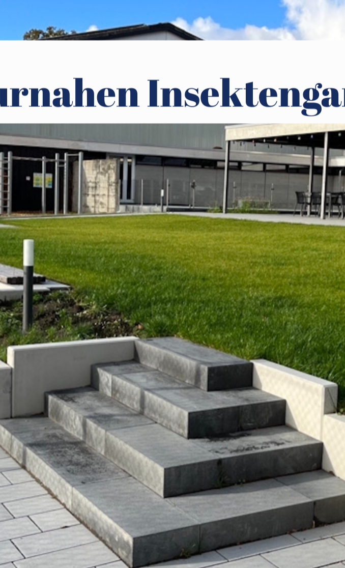 Naturnaher Insektengarten