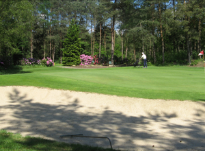 Erneuerungsarbeiten Golfplatz Wildeshausen