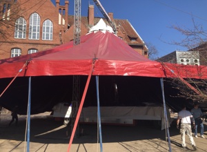 Zirkusprojektwoche Conrad Schule Wannsee