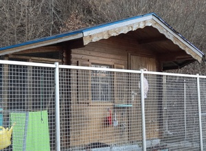Erhalt der Auffangstation des Tierschutzverein Triberg & Umgebung e.V.