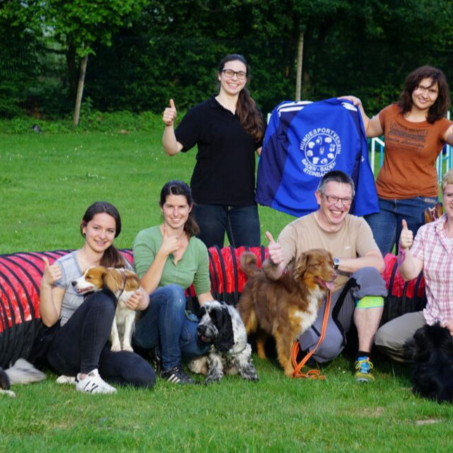 Neues Sportgerät (Laufsteg) für den Hundesportverein Baden Baden Steinbach
