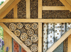 Bau und Aufstellung von drei Insekten-Nisthilfen