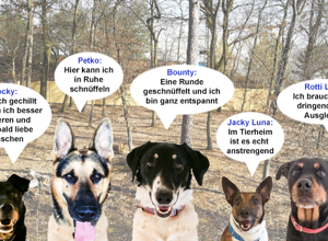 Schnüffel-und Erlebnisgarten
