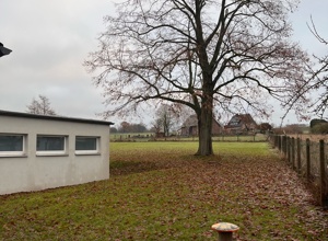 Lernen unter freiem Himmel