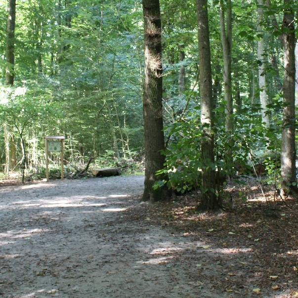 Wegeleitsystem Lehmkuhlenwald und Arboretum
