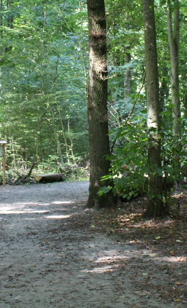 Wegeleitsystem Lehmkuhlenwald und Arboretum