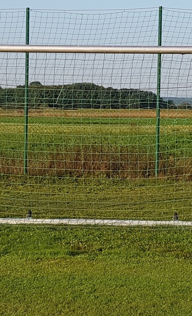 Neue Fußballtore
