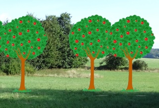 Einladung zur ersten offiziellen Pflanzung eines hochstämmigen Apfelbaums auf dem Projekt-Gelände