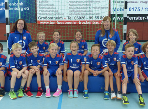 Förderung des Handballnachwuchs der HSG Bachgau 08